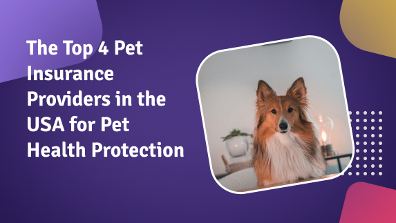 The Top 4 Pet Insurance Providers in the USA for Pet Health Protection